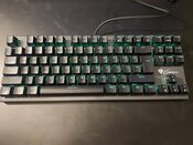 Genesis THOR 300 TKL blue switch