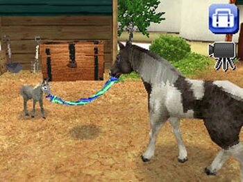 Redeem Petz Horseshoe Ranch Nintendo DS