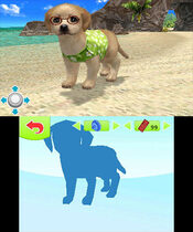 Petz Beach Nintendo 3DS