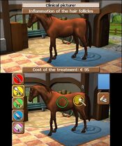 Get Horse Vet 3D Nintendo 3DS