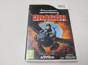 How to Train Your Dragon Wii