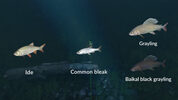 Get Ultimate Fishing Simulator - New Fish Species (DLC) (PC)  Steam Key GLOBAL