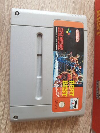 Best of the Best: Championship Karate SNES