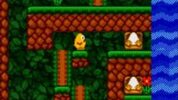 Toki Tori Game Boy Color