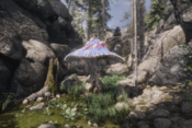 Mushroom Monsters - Fantasy RPG Epic Games Key GLOBAL