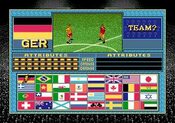 Buy Champions World Class Soccer SNES