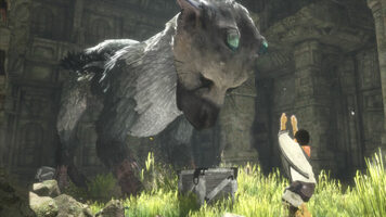 Redeem The Last Guardian - The Collector's Edition PlayStation 4