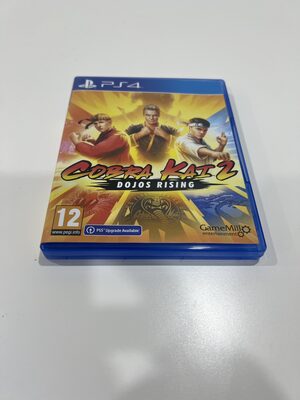 Cobra Kai 2: Dojos Rising PlayStation 4