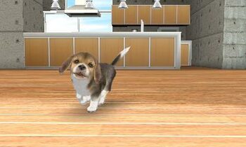 Nintendogs + Cats Nintendo 3DS