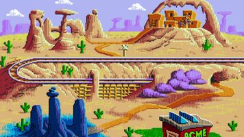 Buy Desert Demolition Starring Road Runner and Wile E. Coyote SEGA Mega Drive