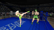 Wrestlers Without Boundaries (PC) Steam Key GLOBAL