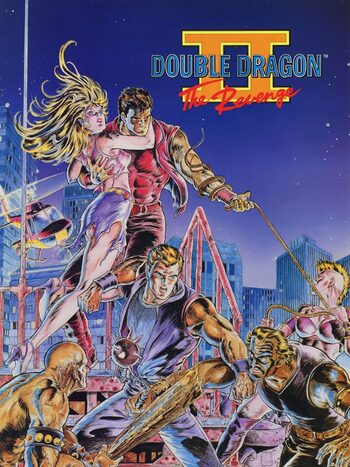 Double Dragon II: The Revenge NES