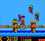 Redeem Shantae Game Boy Color