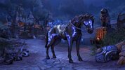 The Elder Scrolls Online: Elsweyr Digital Collector's Edition Upgrade (DLC) Official Website Key GLOBAL