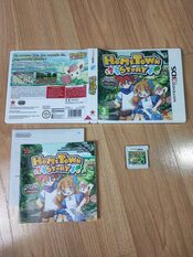 Hometown Story Nintendo 3DS