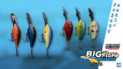 Redeem Fishing Sim World: Pro Tour - Big Fish Lure Pack (DLC) (PC) Steam Key GLOBAL