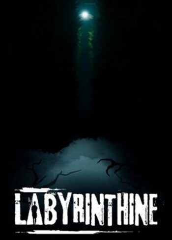 Labyrinthine (PC) Steam Key EUROPE