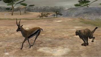 Wild Earth: African Safari Wii