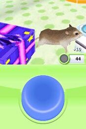 Get Petz Hamsterz Superstarz Nintendo DS