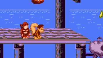 Donkey Kong Land 2: Game Boy Color Edition Game Boy Color