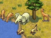 Buy SimAnimals Africa Wii