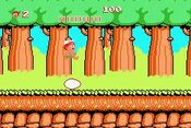 Buy Adventure Island (1986) NES