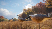 Get theHunter: Call of the Wild - Wild Goose Chase Gear (DLC) (PC) Steam Key EUROPE