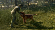 Redeem theHunter: Call of the Wild - Bloodhound (DLC) (PC) Steam Key EUROPE