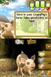 Crazy Pig Nintendo DS