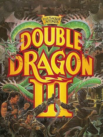 Double Dragon III: The Sacred Stones NES