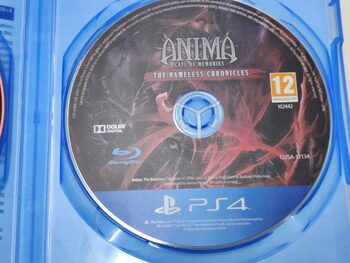 Get Anima: Gate of Memories - The Nameless Chronicles PlayStation 4