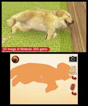 Redeem nintendogs + cats: French Bulldog & New Friends Nintendo 3DS