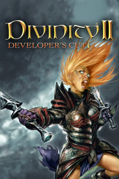 Divinity II: Developer's Cut game cover