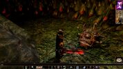 Buy Neverwinter Nights: Enhanced Edition (PC) Steam Key LATAM