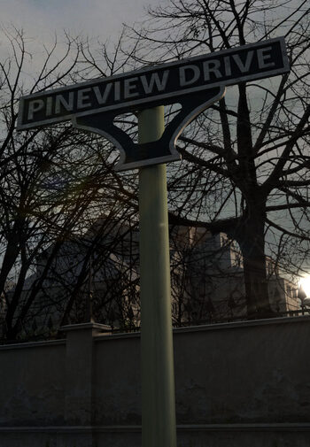 Pineview Drive Steam Key GLOBAL