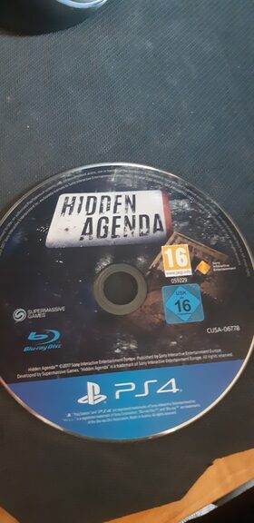Hidden Agenda PlayStation 4
