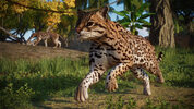 Planet Zoo: Americas Animal Pack (DLC) Steam Key (PC) GLOBAL