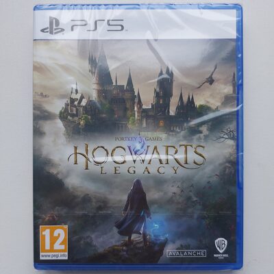 Hogwarts Legacy PlayStation 5