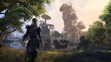 Get The Elder Scrolls Online: Collection Xbox One