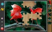 Buy Jigsaw Puzzles Deluxe - Full HD Images PC/XBOX LIVE Key EUROPE