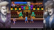 Double Dragon Collection Nintendo Switch