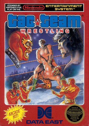 Tag Team Wrestling NES