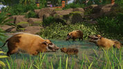 Buy Planet Zoo: Tropical Pack (DLC) (PC) Steam Key EUROPE