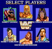 WWF Superstars Game Boy
