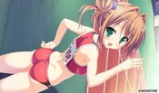 Buy Princess Evangile W Happiness - Steam Edition Steam Key GLOBAL