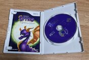 The Legend of Spyro: The Eternal Night Wii