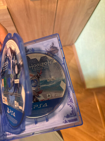 Buy Horizon: Forbidden West PlayStation 4