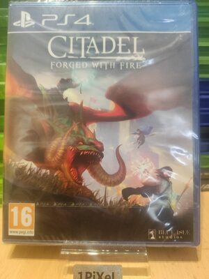Citadel: Forged with Fire PlayStation 4