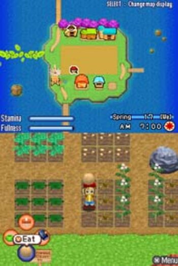 Harvest Moon: Sunshine Islands Nintendo DS for sale