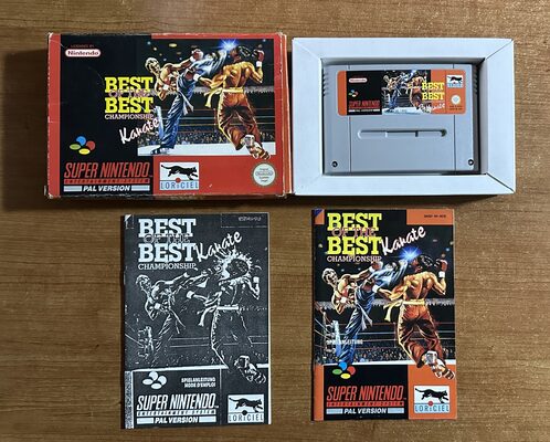 Best of the Best: Championship Karate SNES